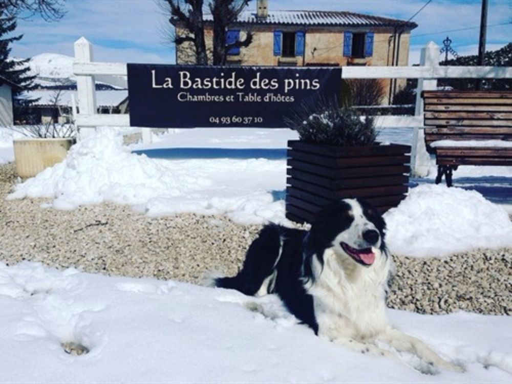 La Bastide Des Pins Hotel Kültér fotó